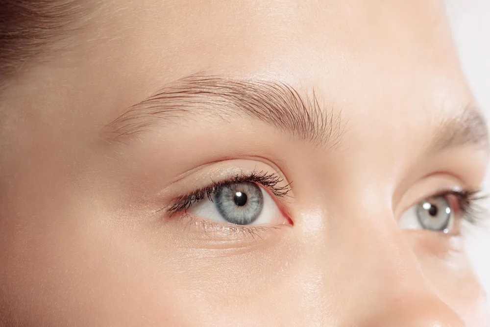 Eyelid Diseases