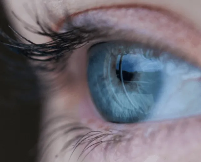 Ocular Surface Diseases